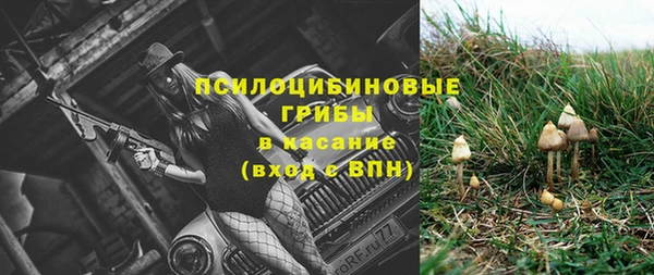 героин Ельня