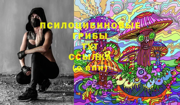 a pvp Елабуга